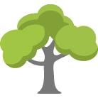 Huntsville Tree Trimming