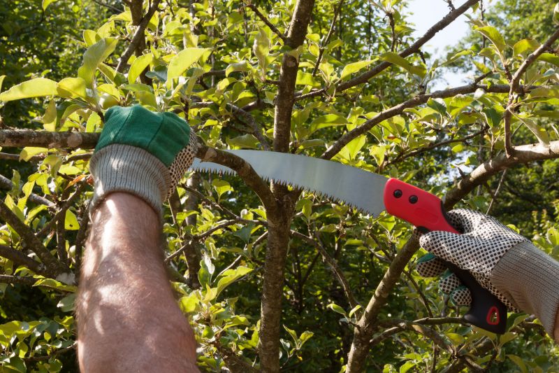 Limb Pruning