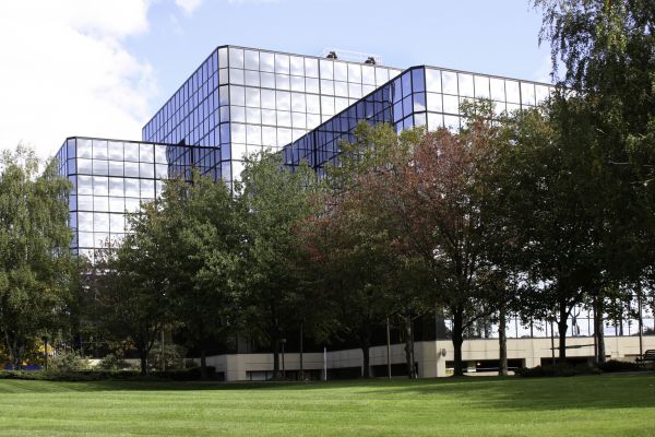 Commercial Tree Trimming in Huntsville